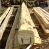 Morali in legno di castagno